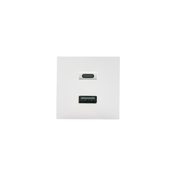 Смарт Панел - Shelly USB Charger for Wall Display Stand [EN TO TRANSLATE]